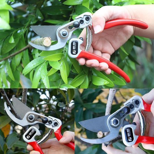 藤原剪枝剪刀园艺剪树枝果树果枝修枝剪园林花艺强力省力粗枝剪子 - 图1