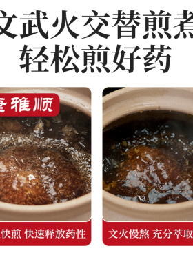 康雅顺原陶无釉煎药壶