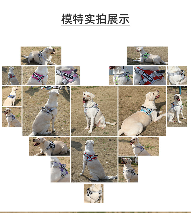 狗狗牵引绳中型犬胸背带柴犬柯基宠物背心式遛狗绳可调节外出专用 - 图2