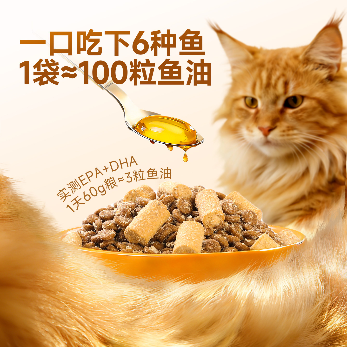 耐威克美毛长肉猫粮试吃生骨肉冻干夹心成幼猫通用猫粮试吃装228g,淘宝优惠券,粉丝福利购,淘宝优惠卷