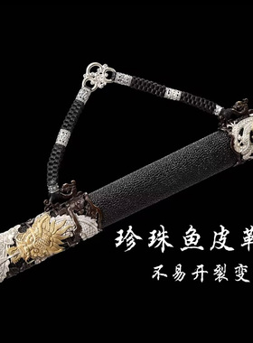 草钢飞龙宝剑龙泉御剑堂鎏金鎏银大马士革钢收藏高档镇宅剑未开刃