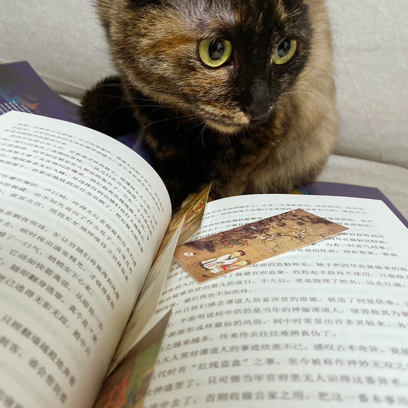 贼猫:金棺陵兽天下霸唱著鬼吹灯系列前传摸金派祖师爷的传奇灵异玄幻悬疑惊悚小说摸金校尉畅销探险悬疑侦探盗墓小说书籍-图1