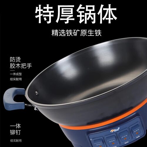 佳佳恋正品加厚铸铁多功能蒸煮一体电热锅电炖锅炒菜锅包邮 - 图0