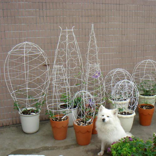 花架爬藤架造型铁架子植物造型包塑软线支撑杆靠墙固定藤架花支架 - 图1