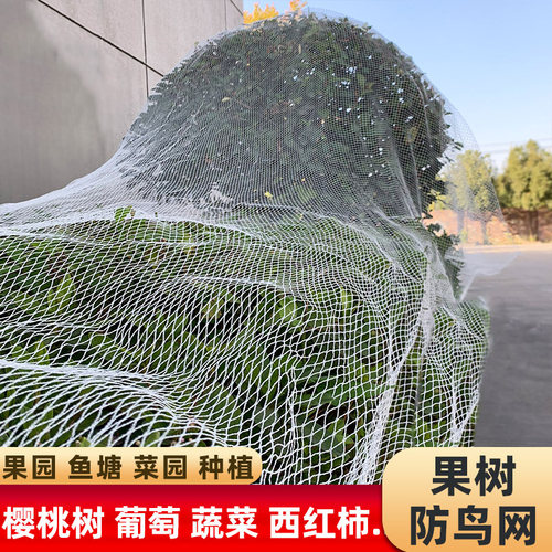 防鸟用的网菜地果园果树落叶葡萄架种菜丝网植物支架防雀罩树网纱 - 图1