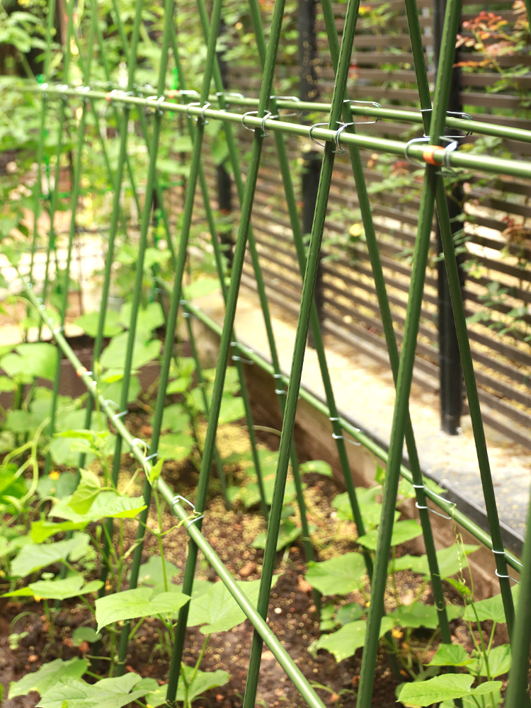 种菜搭架包塑管支架菜园种植架子园艺爬藤架蔬菜架杆丝瓜支撑架 - 图2