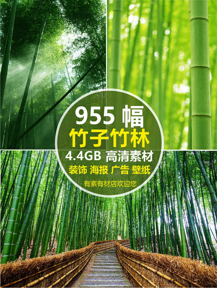 竹林高清素材 Top 400件竹林高清素材 22年11月更新 Taobao