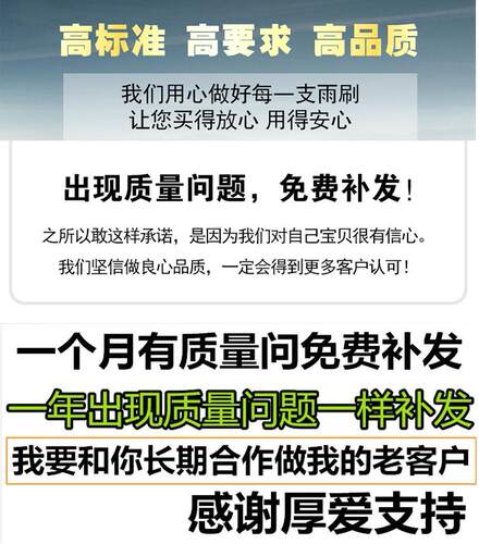 斯柯达明锐雨刮器昊锐晶锐昕动新速派昕锐野帝速尊无骨雨刷片 - 图2