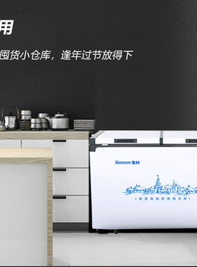 雪村速冻卧式冰箱冷柜商用