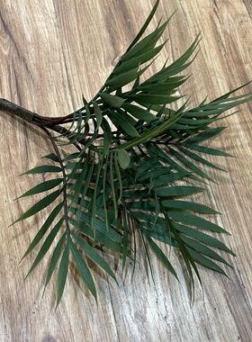 仿真棕榈树热带椰子树叶塑料细叶棕榈树铁树叶假植物装饰插花厥草