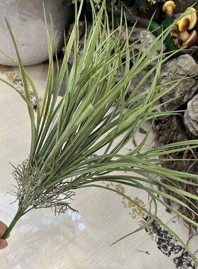 仿真细叶草韭菜草绿色水草塑料草装饰园林造景仿生湿地植物麦冬