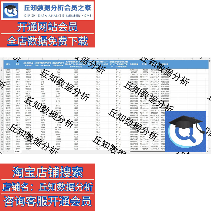 地级市能源消耗数据2021-2006年（原始数据+计算过程+结果说明） - 图0