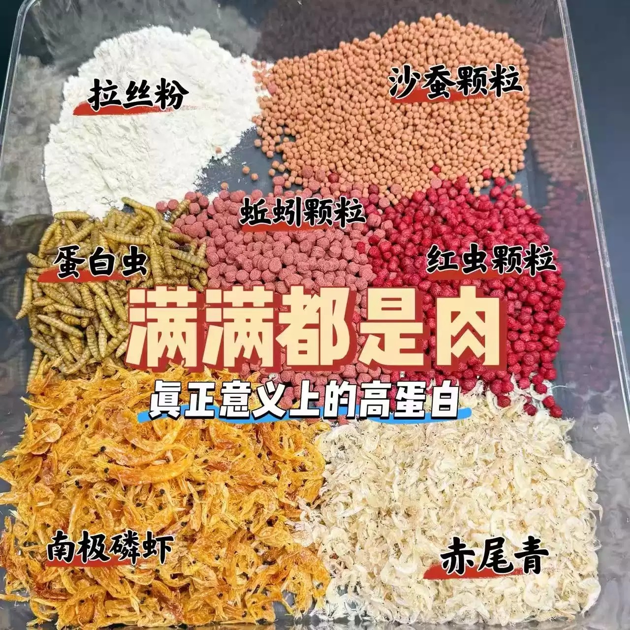 天逸激活饵料秋冬季野钓鲫鱼鲤鱼浓腥动物高蛋白鱼饵一包搞定正品,淘宝优惠券,粉丝福利购,淘宝优惠卷