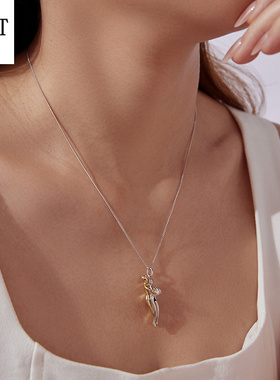 银姿韵原创爱情亲情拥抱项链浪漫