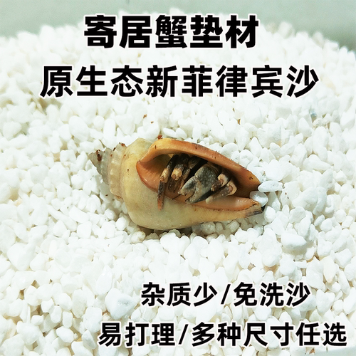 寄居蟹专用沙垫材白沙珊瑚沙菲律宾沙贝壳沙免洗砂寄居蟹专用椰土 - 图3