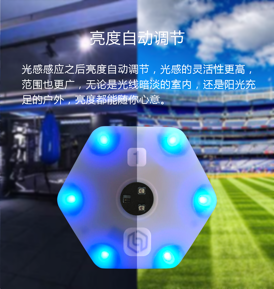 【确领】反应训练灯敏捷反应灯无线感应儿童体适能感统训练灵敏度 - 图2