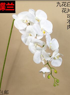 仿真花蝴蝶兰pu手感过胶单支干花饰假花客厅餐桌摆设摆放兰花包邮