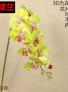 仿真花蝴蝶兰蝴蝶兰客厅卧室中国
