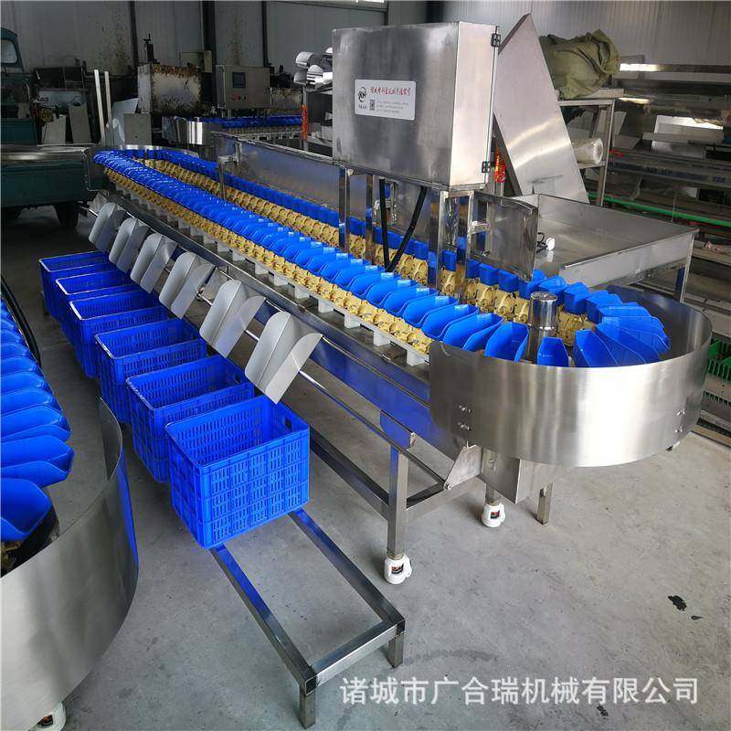 厂家供应料盒重量分选机 土豆猕猴桃分拣机 扇贝小龙虾大小分级机,淘宝优惠券,粉丝福利购,淘宝优惠卷