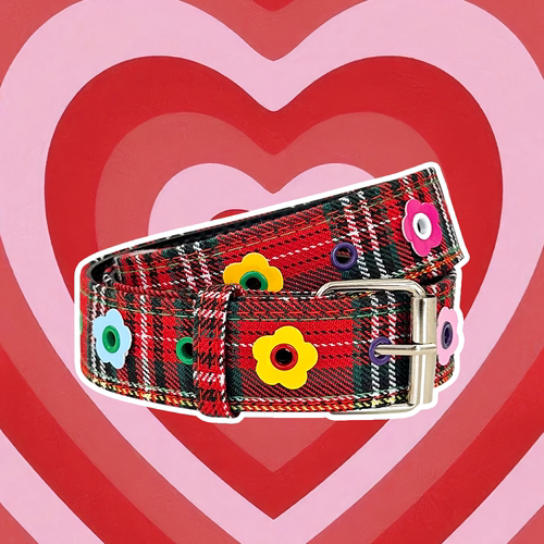 多巴胺y2k配饰腰带女甜酷辣妹风百搭夏季穿搭美式配裙ins格纹皮带 - 图0