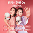 Singba Arena G21 integrated wireless audio microphone