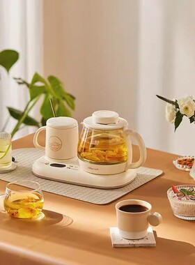 小熊养生壶双杯多功能家用小型