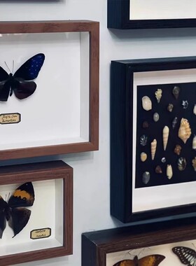 手工diy相框立体中空标本框贝壳石头植物干花收藏保存展示画框架
