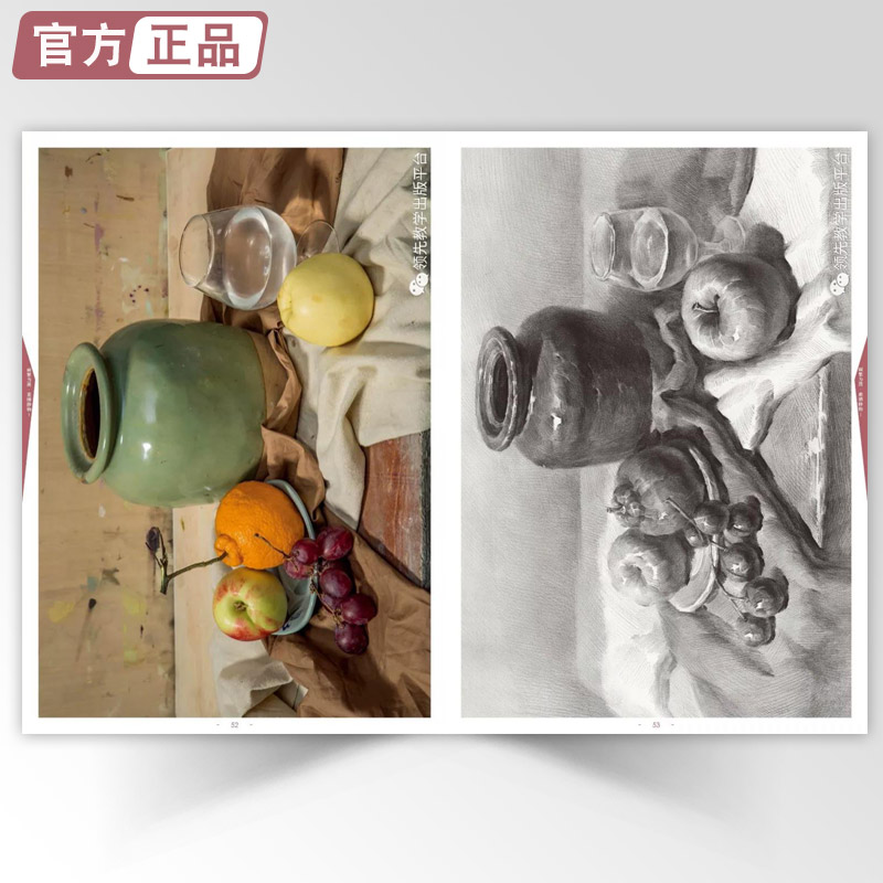 画繁为简素描静物1 领先教学张磊组合基础入门步骤结构解析光影关系照片对画临摹范本陈经典平院校高艺联考美术绘画图册书籍教程材 - 图3