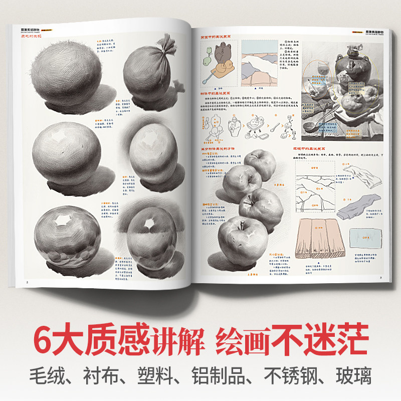 蔡兼素描静物 石膏几何体绘画石膏像单体组合结构照片临摹范本水果基础入门学画册本教程经典画高考联考一本通美术书籍教学教材书