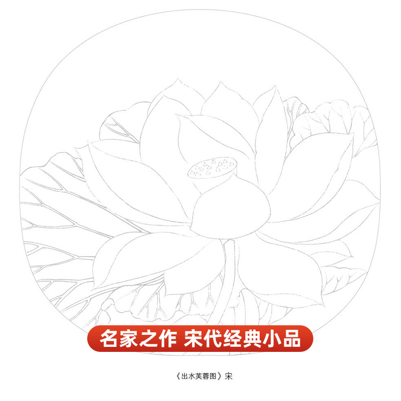 国画白描描摹本3本 花卉植物动物画谱人物工笔画入门套装零基础书临摹自学底稿毛笔宋中国画手绘写意美术绘画画册线条教学教程教材 - 图2