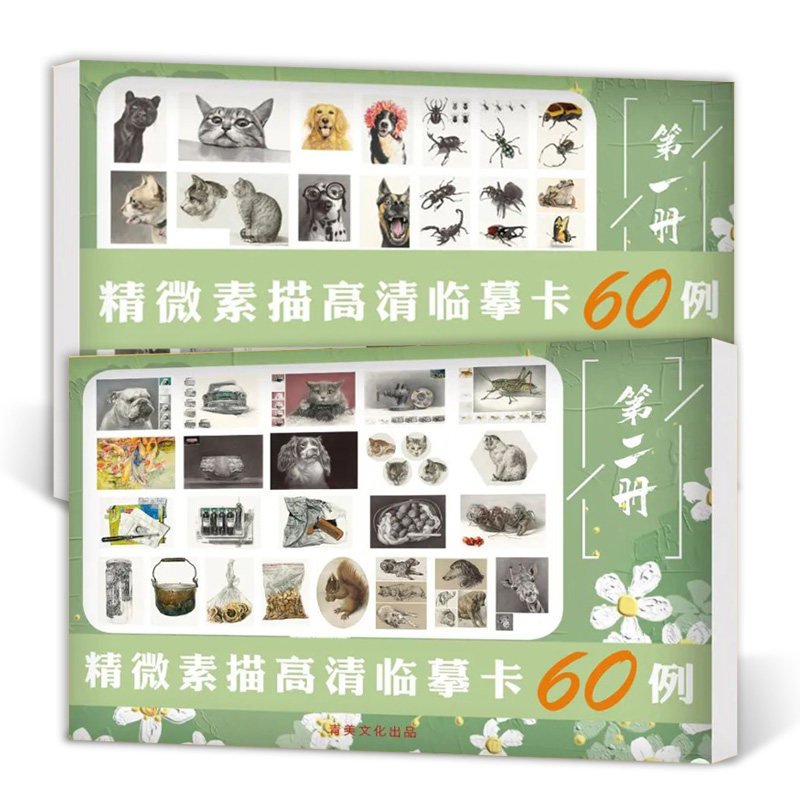精微素描高清临摹卡套装 2022我有我一套人物动物照片图片基础入门卡片书籍线描画画书画册写生绘画艺术高考联考美术教材教程教学