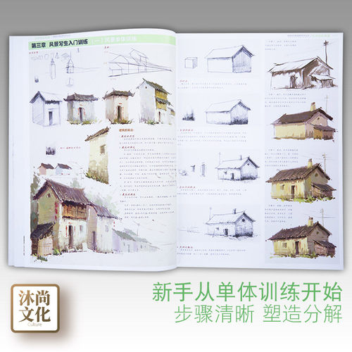 杭州色彩风景教学典籍国美励志张品水粉照片画临摹大师美术生范画书色调基础入门高考联考校考范本书籍绘画画册本手绘教程教学教材 - 图1