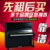 Ant thuê piano, cho thuê piano, piano chuyên nghiệp, piano cho người mới bắt đầu, người lớn, thưởng thức - dương cầm dương cầm