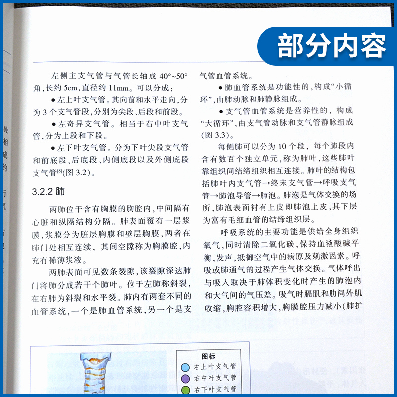 【官方直营】肿瘤放射治疗危及器官勾画 危及器官的解剖 头颈部腹部盆腔部CT影像 外科学临床实用医学书 天津科技翻译出版有限公司 - 图1