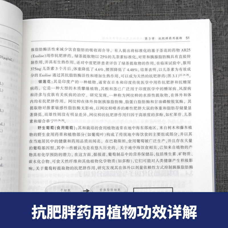 降糖与减肥 安全有效的药用植物及药物化学作用机制  常用抗肥胖药用帕物 天津科技翻译出版公司  巴沙尔 萨德 编著 9787543340985