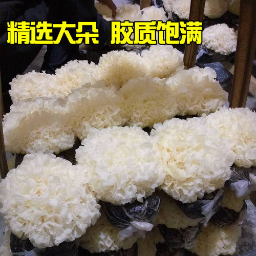 新鲜银耳古田湿白木耳糯6朵盒装活无硫非干货易出胶生雪耳带菌棒 - 图1