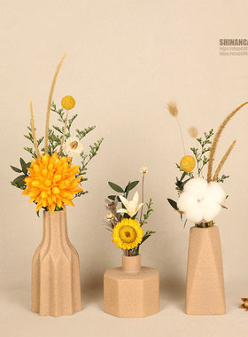 小摆件家居饰品摆设客厅展示柜家庭玄关电视柜桌面花瓶高级感软装