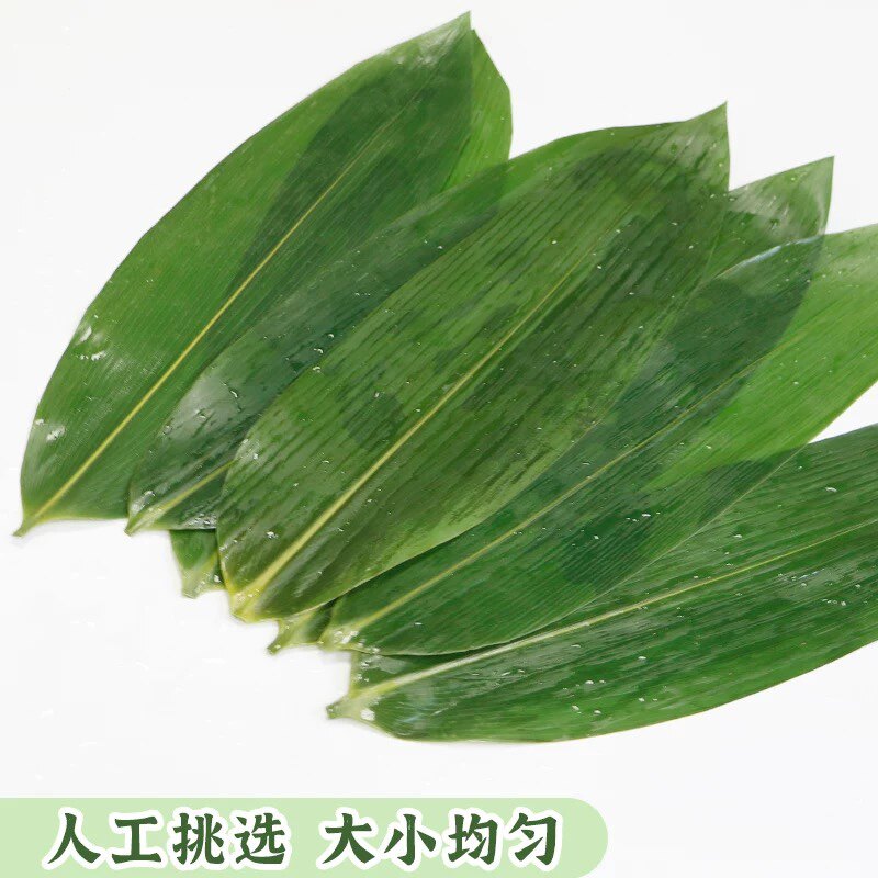 端午粽叶新鲜大号干棕叶包粽子的叶子免邮家用天然特大箬叶棕子叶_虎窝淘