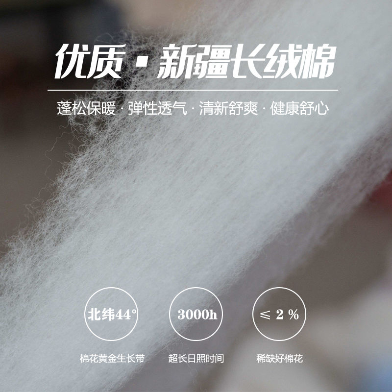 新疆棉花一级长绒棉精梳棉花填充物手工棉花被散装棉花卷皮棉 - 图0