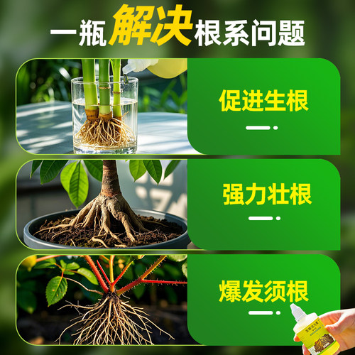 植物专用快速生根活力素复活黄叶盆栽药水花卉通用型营养液安全 - 图1