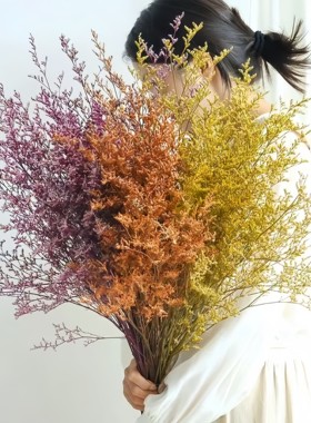 永生花情人草长支大束100克1束花店花束配草室内花瓶装饰干燥花材