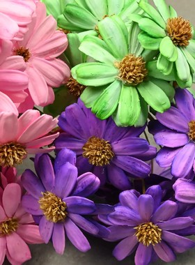 小清新花材瓜子花10支/束鲜花花束配材永生花优质客厅插花摆件