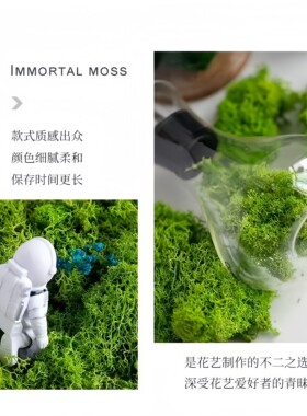 多色永生苔藓500克盒装DIY手工花盒相框苔藓墙微景观造景清新装饰