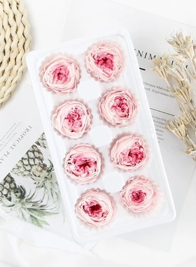 永生花干花A级3-5cm玫瑰奥斯汀招财猫圣诞节母亲节礼物制作材料