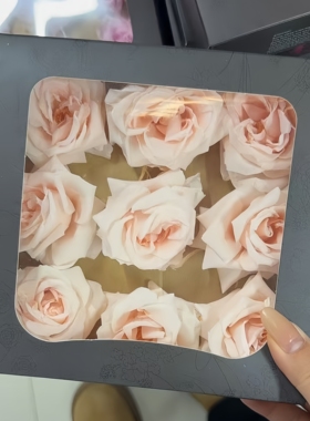 永生花蔷薇花头玫瑰9朵盒装桔梗花DIY手工材料加工花材
