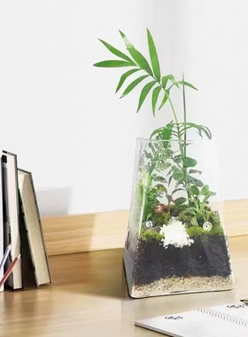 微景观透明玻璃斜方山脉苔藓瓶迷你植物生态造景瓶桌面鱼缸小摆件