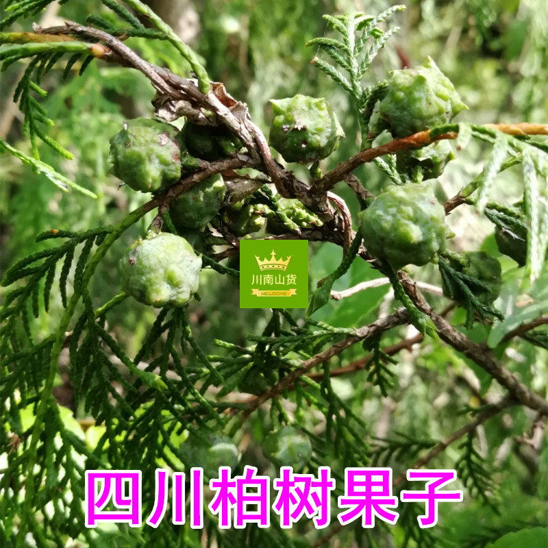 图4