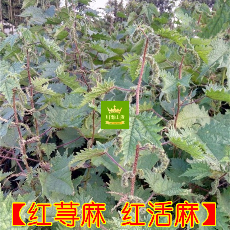 图3