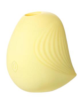 Sucking the clitoris, masturbation, vibrating toy