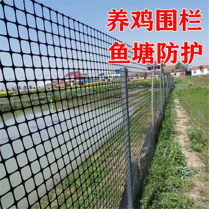 养鸡围栏农村拦鸡鸭鹅护栏栅专用土工格栅养殖胶隔离塑料格防护网
